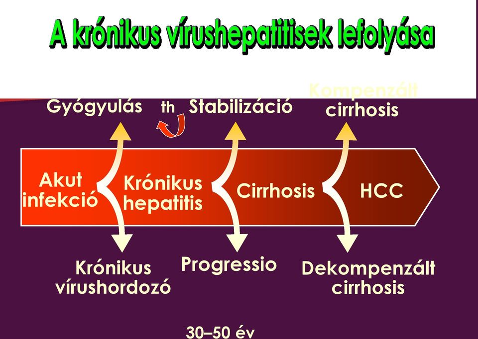 hepatitis Cirrhosis HCC Krónikus