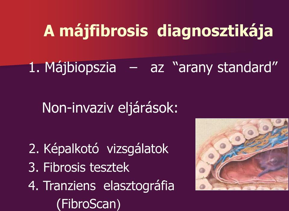 eljárások: 2. Képalkotó vizsgálatok 3.