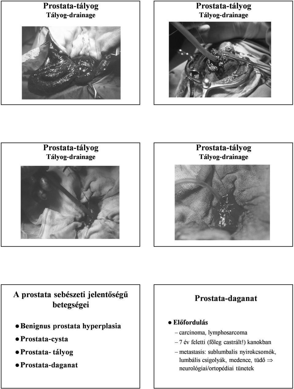 --daganat Előfordulás carcinoma, lymphosarcoma --cysta -- tályog --daganat 7 év feletti (főleg castrált!