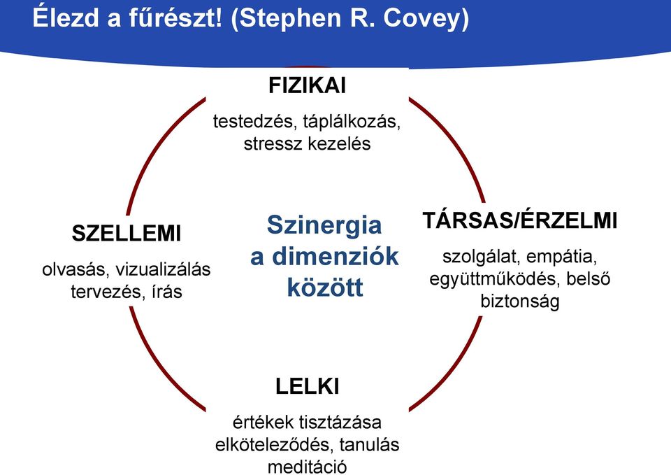 olvasás, vizualizálás tervezés, írás Szinergia a dimenziók között