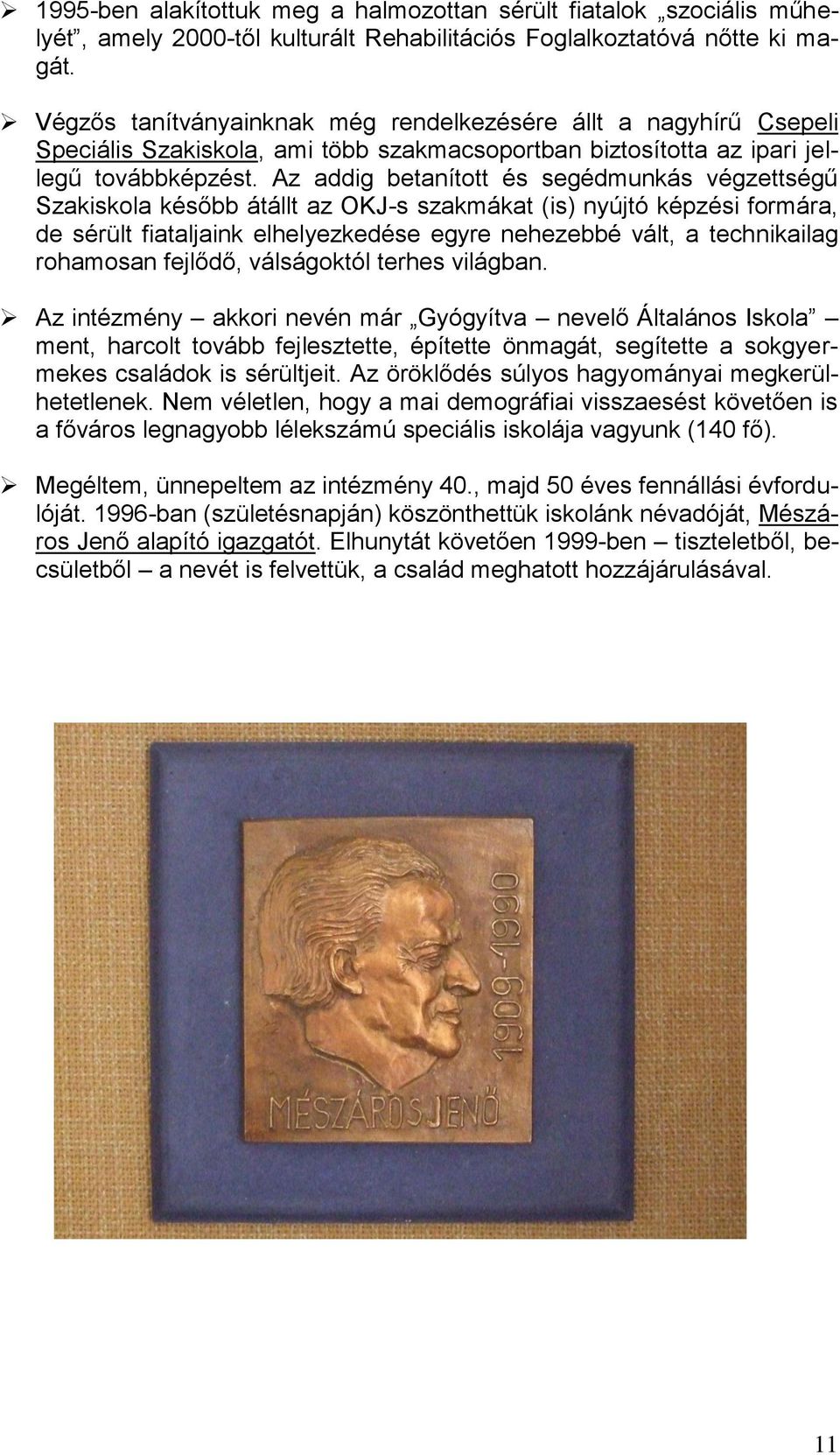 Az addig betanított és segédmunkás végzettségű Szakiskola később átállt az OKJ-s szakmákat (is) nyújtó képzési formára, de sérült fiataljaink elhelyezkedése egyre nehezebbé vált, a technikailag