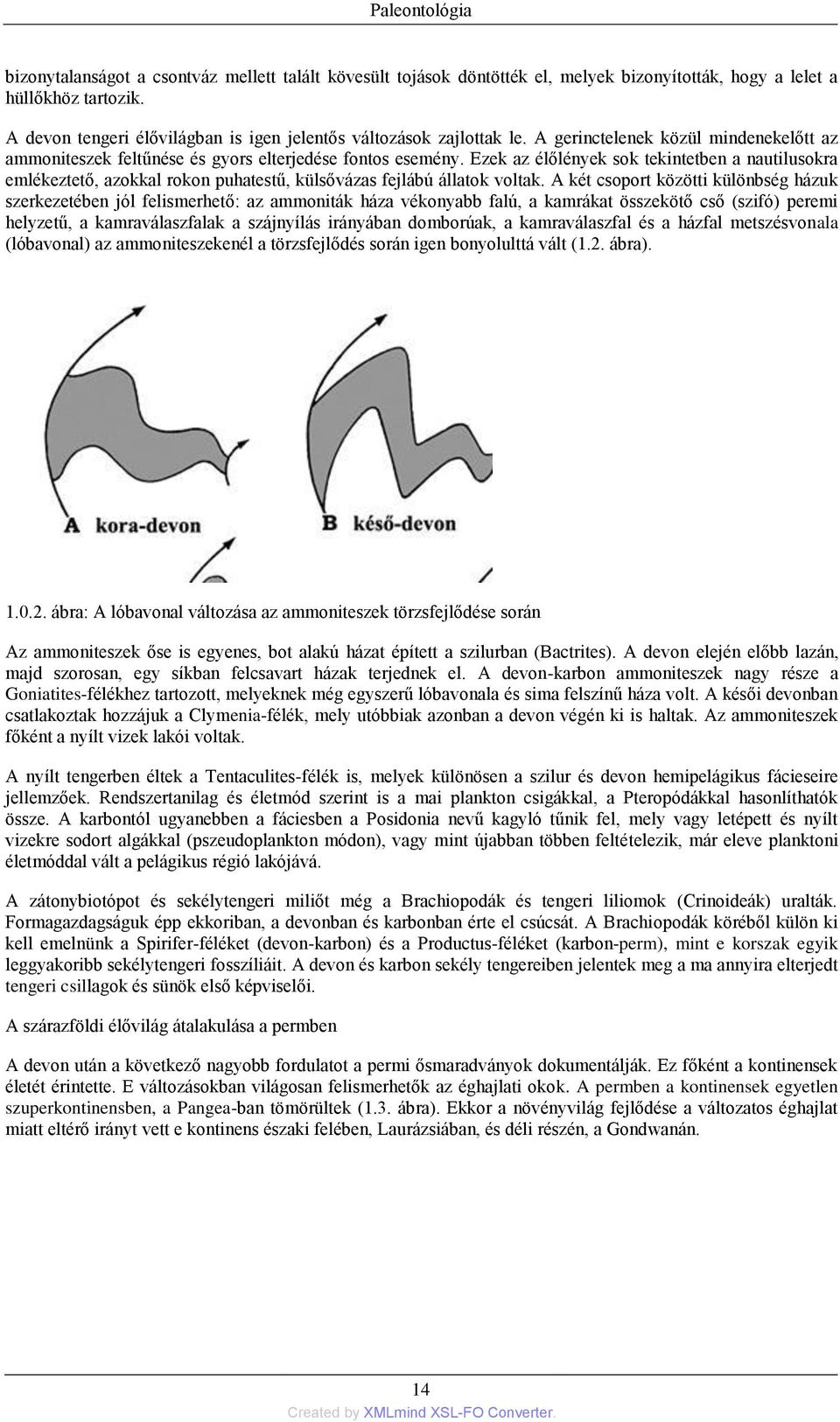 Ezek az élőlények sok tekintetben a nautilusokra emlékeztető, azokkal rokon puhatestű, külsővázas fejlábú állatok voltak.