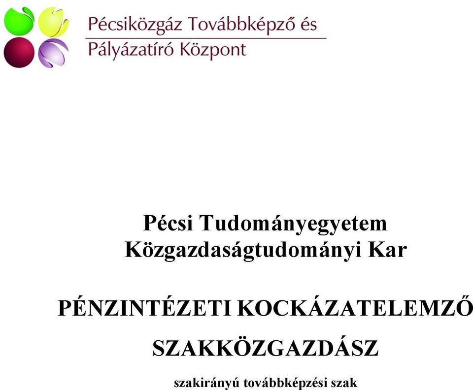 PÉNZINTÉZETI KOCKÁZATELEMZŐ