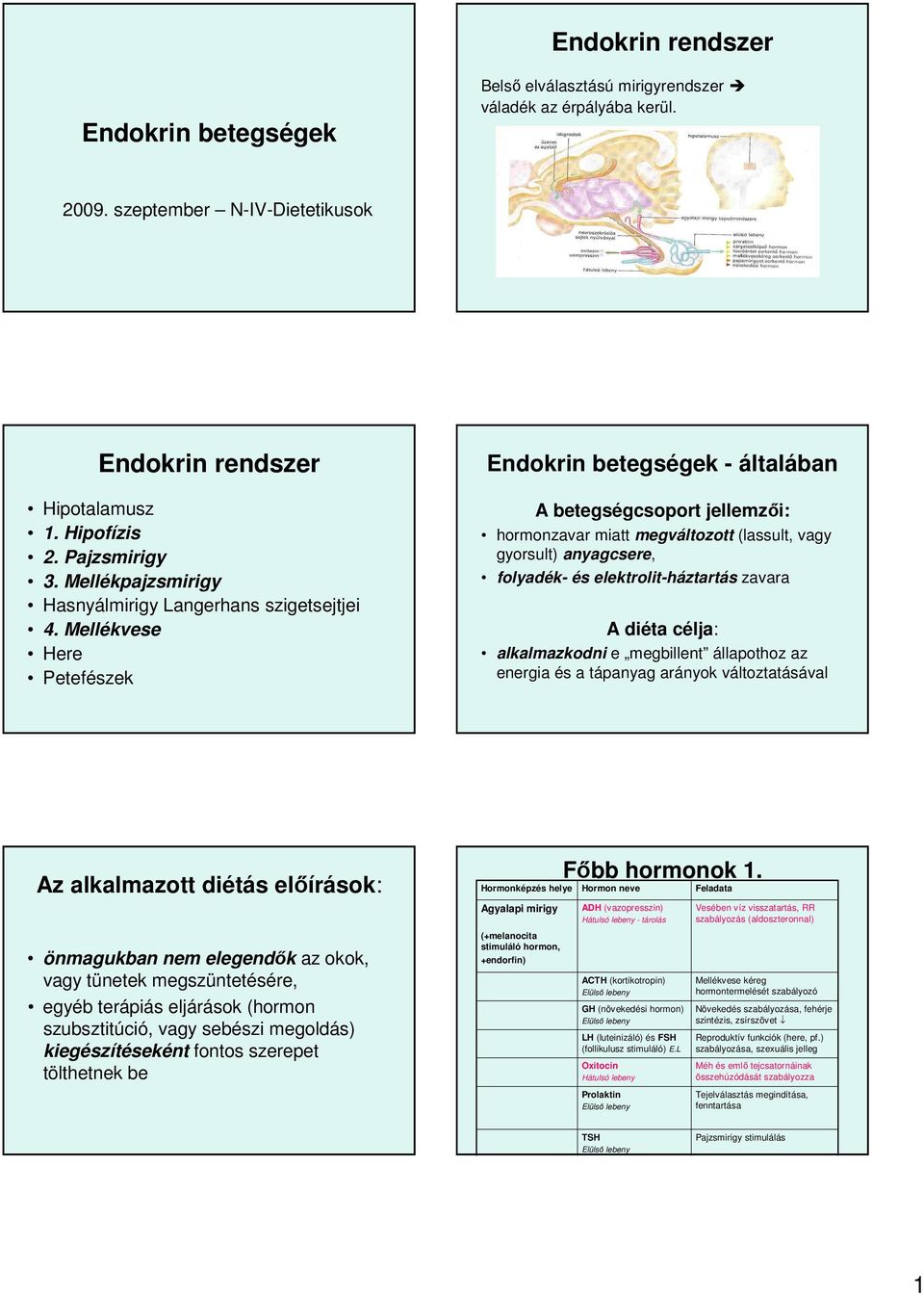 Mellékvese Here Petefészek Endokrin betegségek - általában A betegségcsoport jellemzői: hormonzavar miatt megváltozott (lassult, vagy gyorsult) anyagcsere, folyadék- és elektrolit-háztartás zavara A