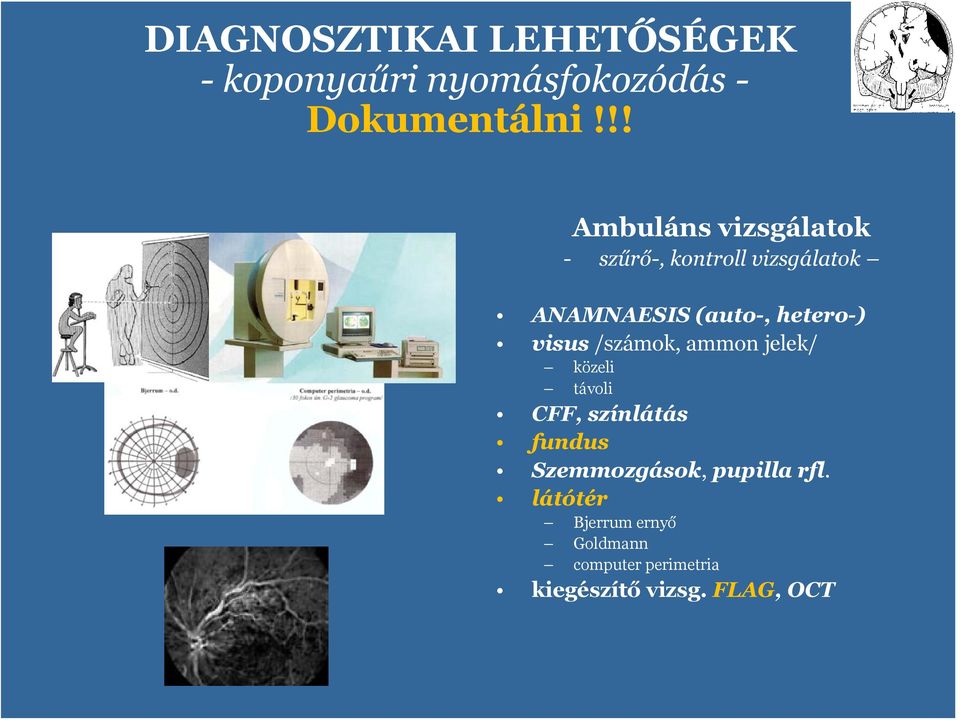 heter-) visus /számk, ammn jelek/ közeli távli CFF, színlátás fundus