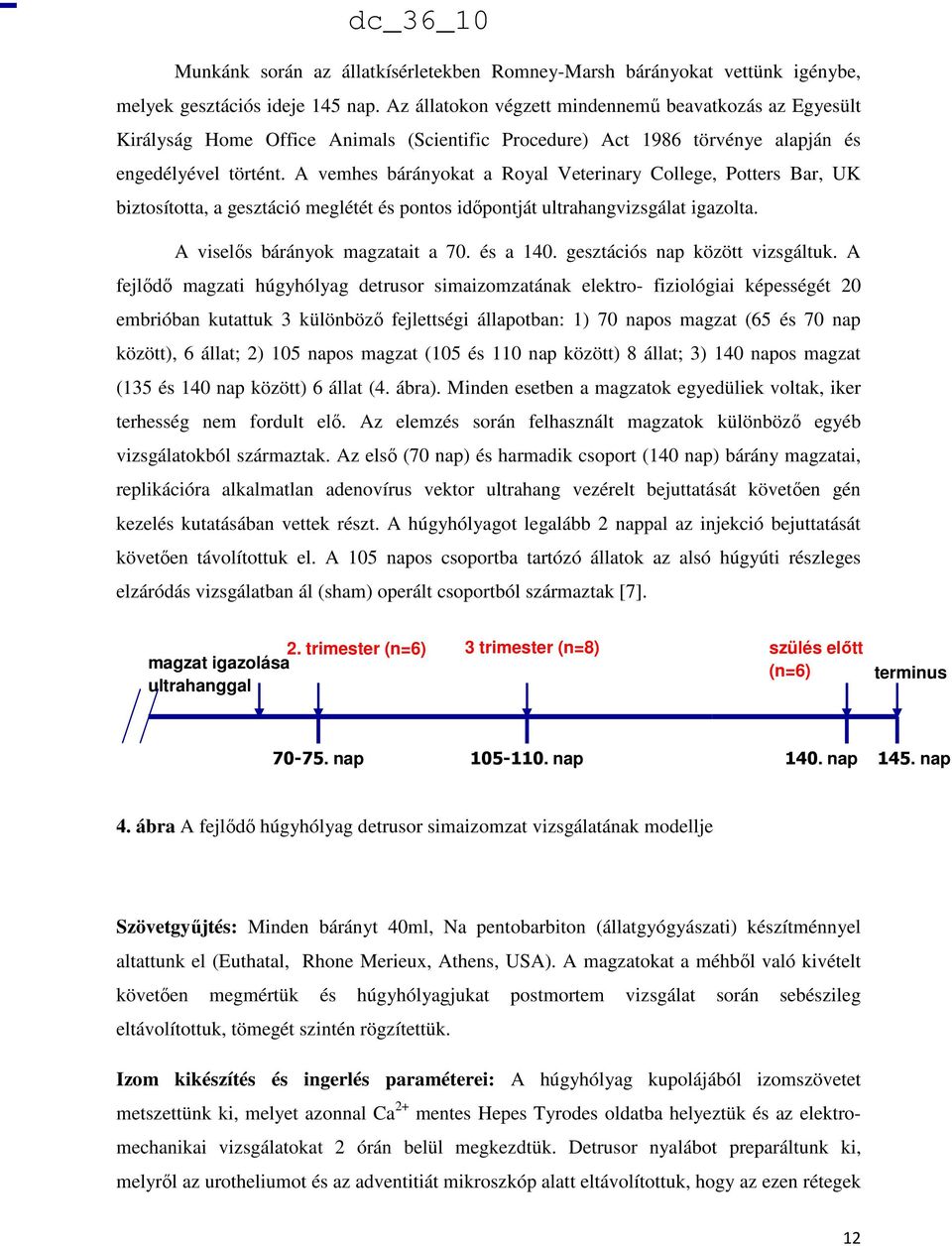 A vemhes bárányokat a Royal Veterinary College, Potters Bar, UK biztosította, a gesztáció meglétét és pontos időpontját ultrahangvizsgálat igazolta. A viselős bárányok magzatait a 70. és a 140.
