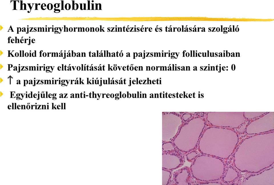 Pajzsmirigy eltávolítását követően normálisan a szintje: 0 a pajzsmirigyrák