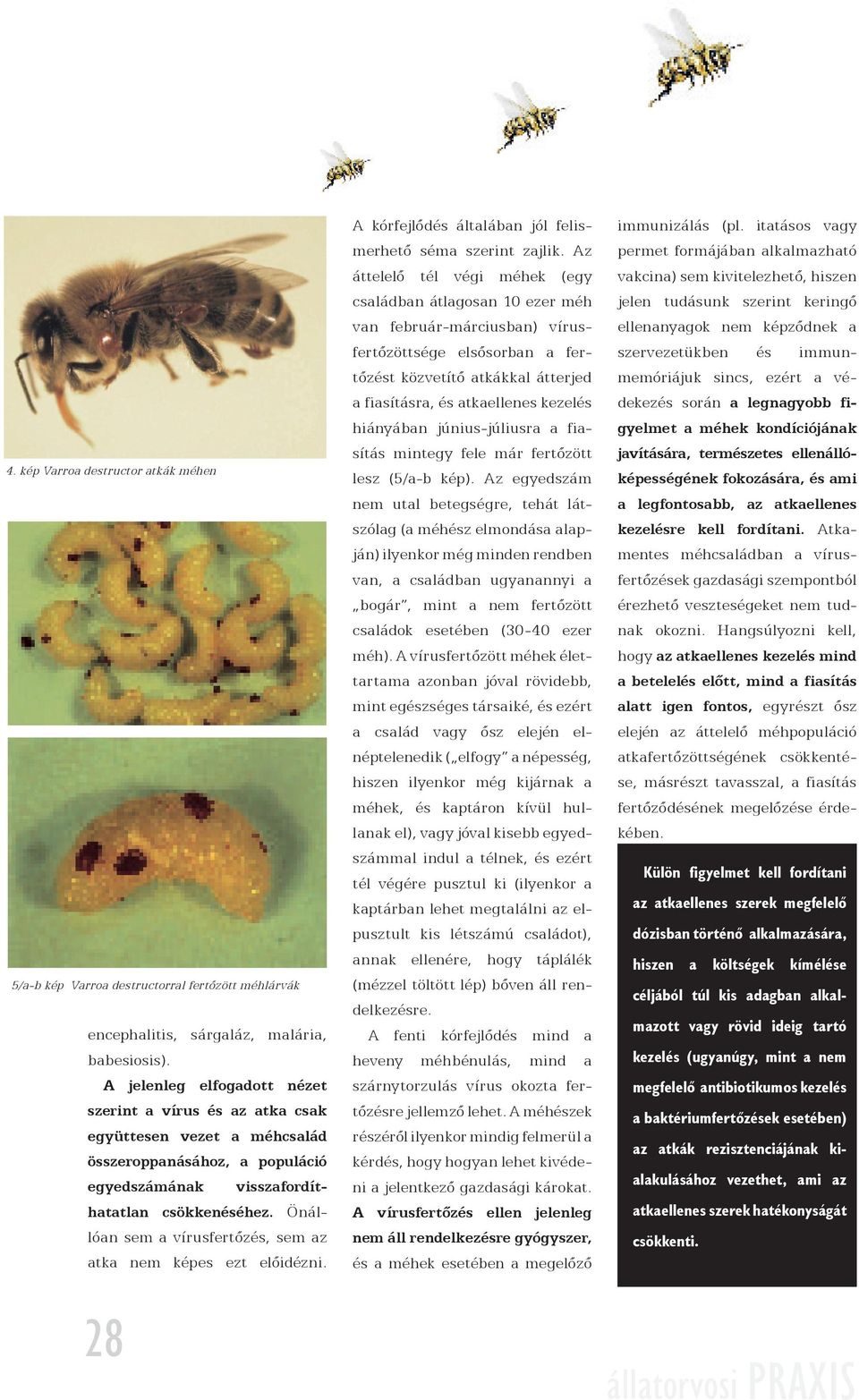 Méhtevékenységre ható gyógyszerek | anima-racio.hu
