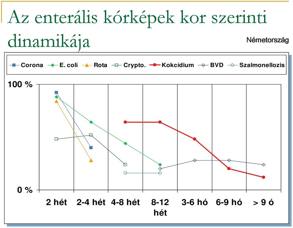 Crypto Kokcídium BVD Szalmonellozis 100 % 0