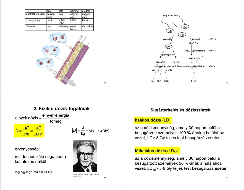 Fizikai dózis-fogalak inden ionizáló sugárzásra korlátozás nélkül régi egység:1 rad 0,01 Gy elnyelt energia töeg J kg [ D ] Gy (Gray) 35 Sugárterhelés és dózisszintek halálos