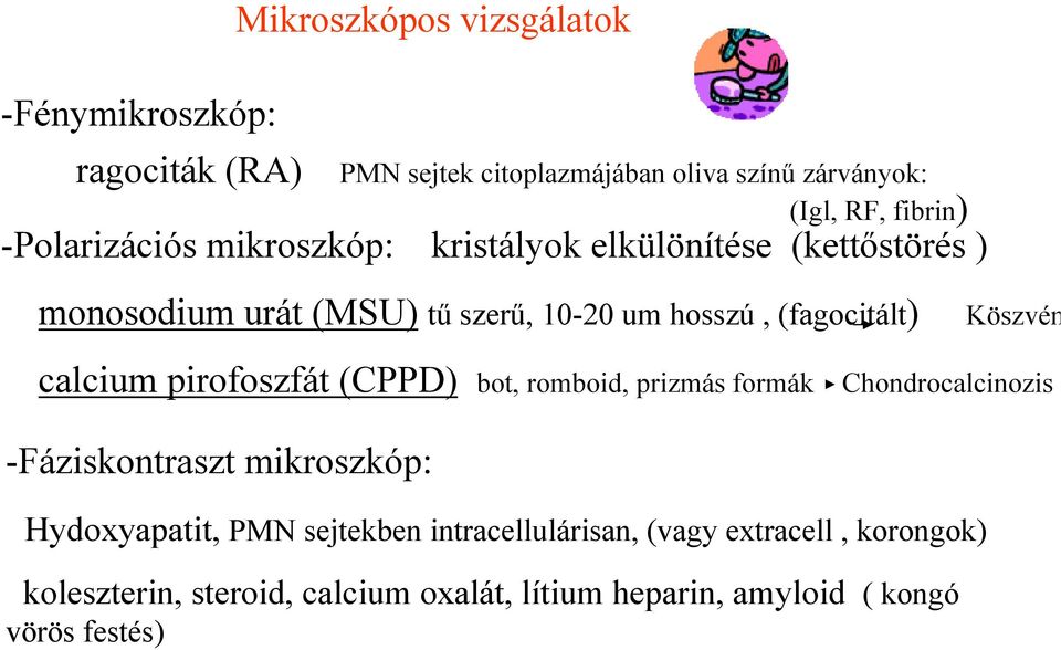 Köszvén calcium pirofoszfát (CPPD) bot, romboid, prizmás formák Chondrocalcinozis -Fáziskontraszt mikroszkóp: Hydoxyapatit, PMN