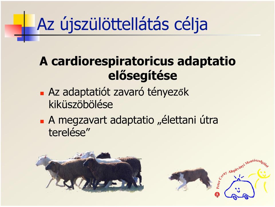 elősegítése Az adaptatiót zavaró