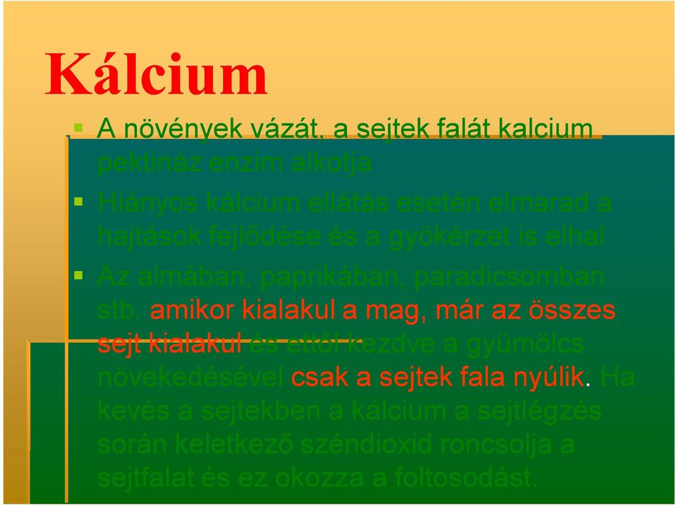 amikor kialakul a mag, már az összes sejt kialakul és ettől kezdve a gyümölcs növekedésével csak a sejtek