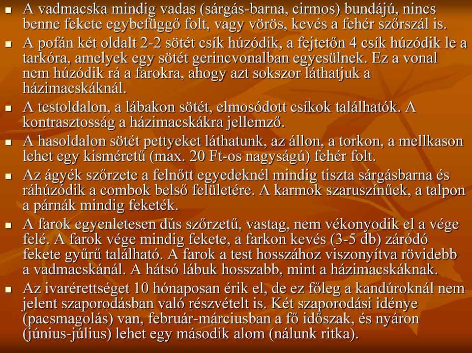 Ez a vonal nem húzódik rá a farokra, ahogy azt sokszor láthatjuk a házimacskáknál. A testoldalon, a lábakon sötét, elmosódott csíkok találhatók. A kontrasztosság a házimacskákra jellemző.