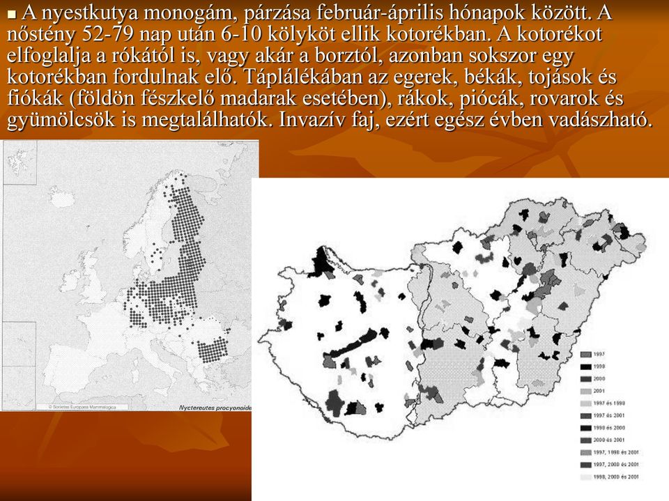 A kotorékot elfoglalja a rókától is, vagy akár a borztól, azonban sokszor egy kotorékban fordulnak