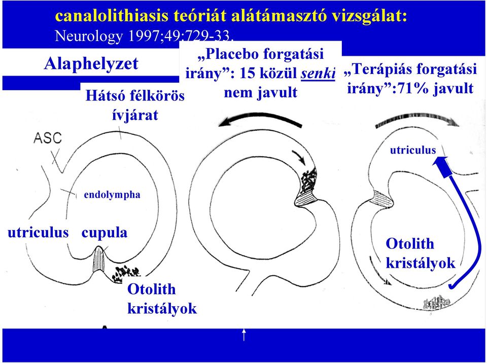 Placebo forgatási irány : 15 közül senki Hátsó félkörös nem javult