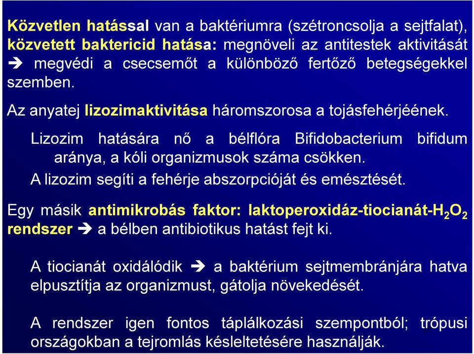 A lizozim segíti a fehérje abszorpcióját és emésztését. Egy másik antimikrobás faktor: laktoperoxidáz-tiocianát-h 2 O 2 rendszer a bélben antibiotikus hatást fejt ki.