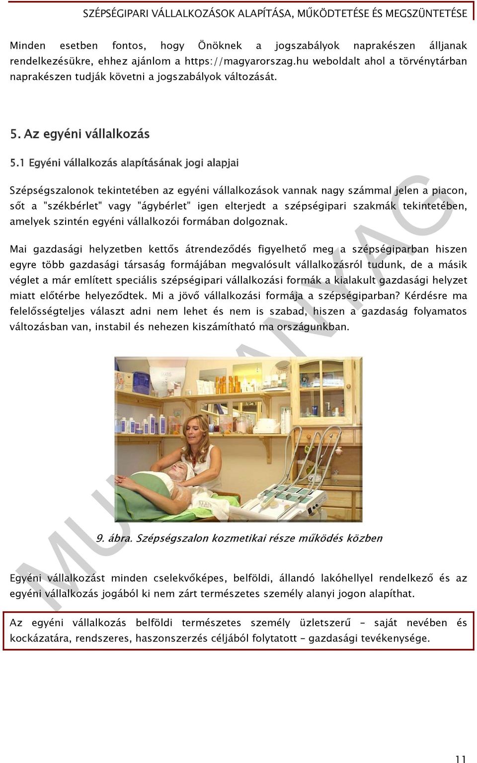 1 Egyéni vállalkozás alapításának jogi alapjai Szépségszalonok tekintetében az egyéni vállalkozások vannak nagy számmal jelen a piacon, sőt a "székbérlet" vagy "ágybérlet" igen elterjedt a
