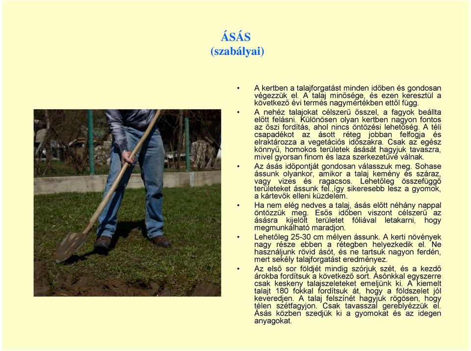 A téli csapadékot az ásott réteg jobban felfogja és elraktározza a vegetációs időszakra.