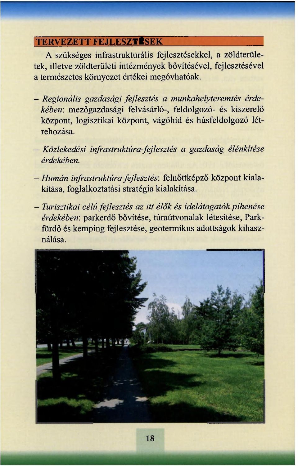 : mezőgazdasági felvásárló-, feldolgozó- és kiszerelő központ, logisztikai központ, vágóhíd és húsfeldolgozó létrehozása.