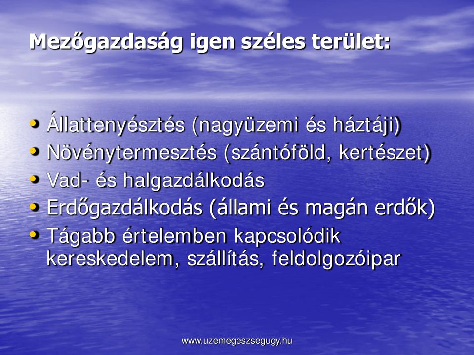 halgazdálkodás Erdőgazdálkodás (állami és magán erdők) Tágabb