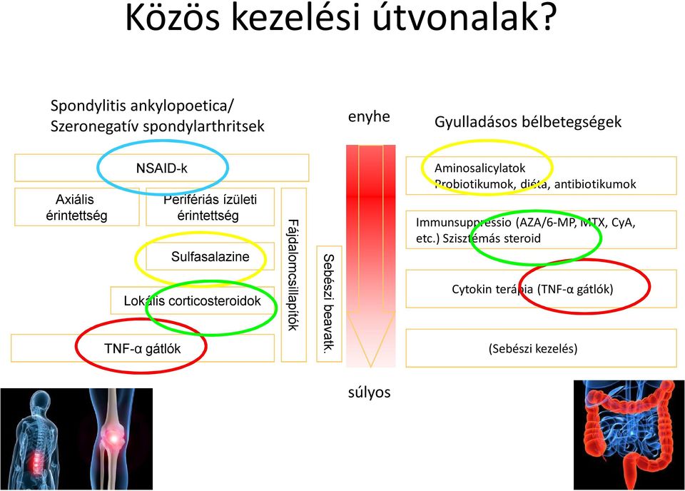 érintettség NSAID-k Perifériás ízületi érintettség Sulfasalazine Lokális corticosteroidok TNF-α gátlók