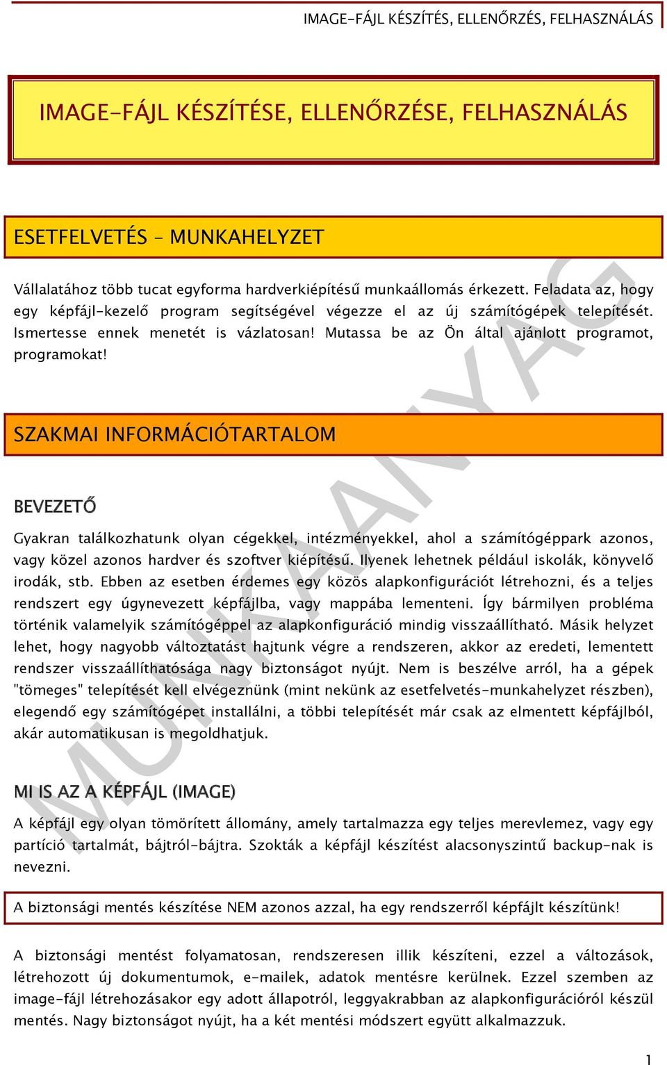 SZAKMAI INFORMÁCIÓTARTALOM BEVEZETŐ Gyakran találkozhatunk olyan cégekkel, intézményekkel, ahol a számítógéppark azonos, vagy közel azonos hardver és szoftver kiépítésű.