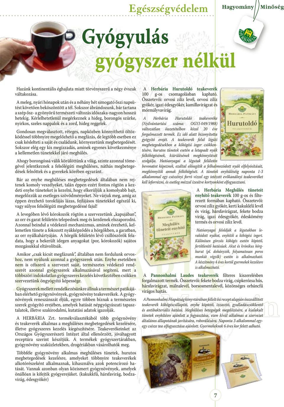 Kérlelhetetlenül megérkeznek a hideg, borongós szürke, nyirkos, szeles nappalok és a zord, hideg reggelek.
