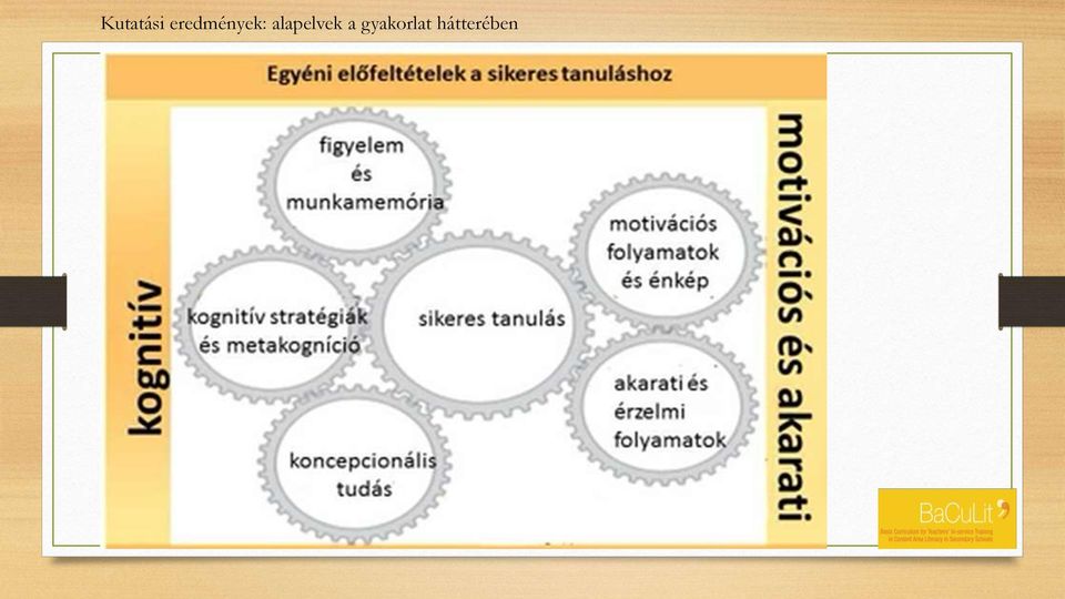 alapelvek a