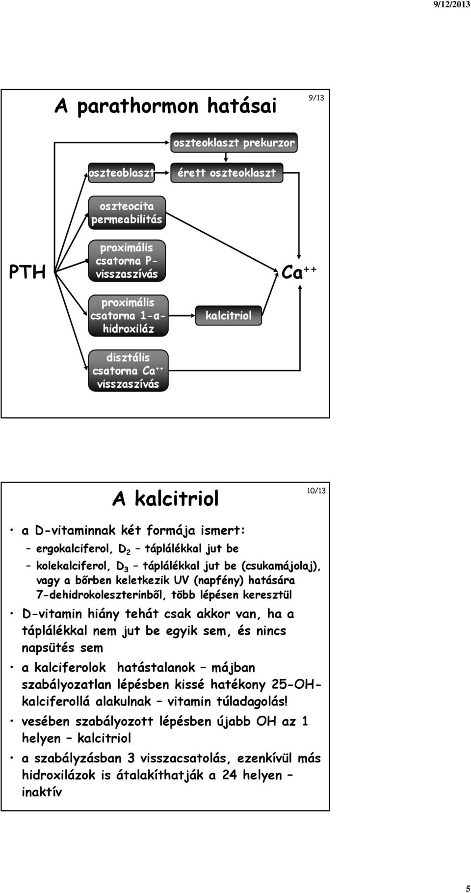 keletkezik UV (napfény) hatására 7-dehidrokoleszterinből, több lépésen keresztül D-vitamin hiány tehát csak akkor van, ha a táplálékkal nem jut be egyik sem, és nincs napsütés sem a kalciferolok