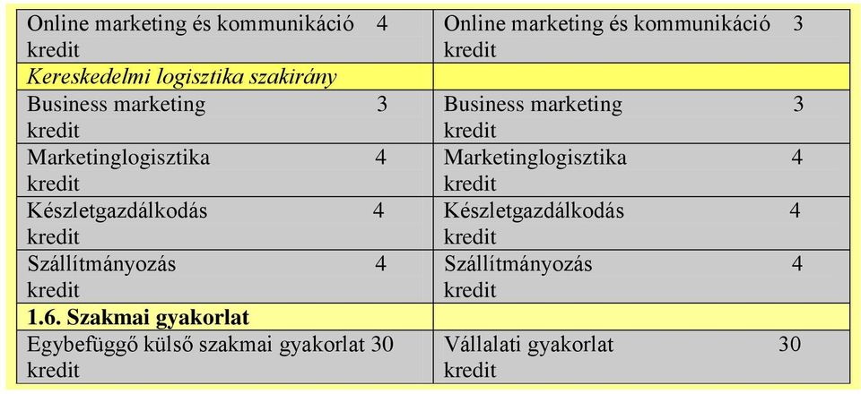 Szakmai Egybefüggő külső szakmai 30 Online marketing és kommunikáció 3 Business