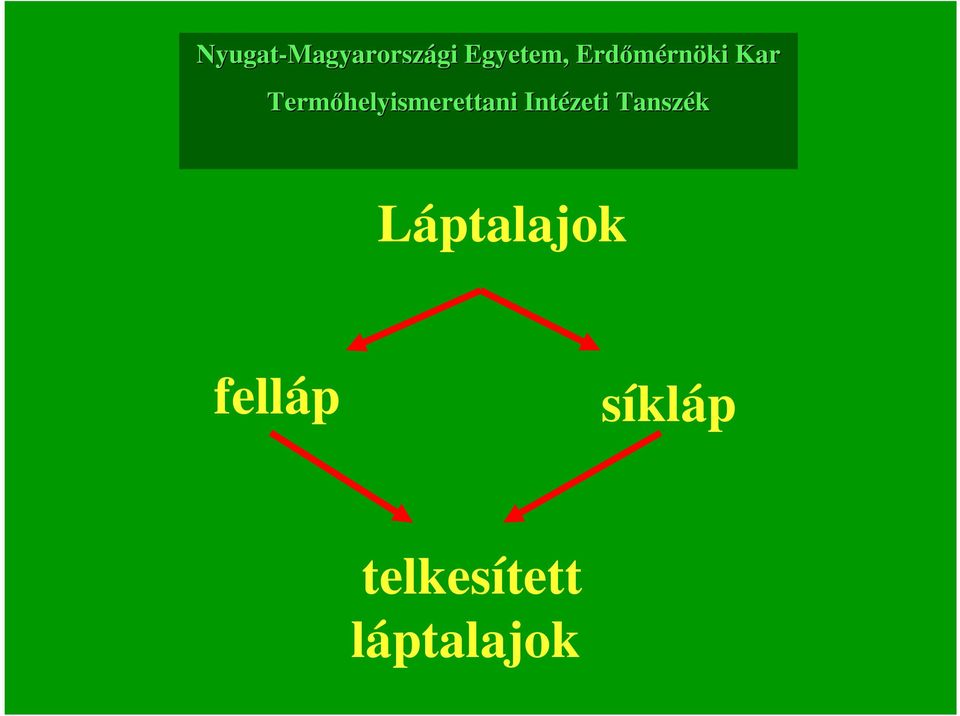 Termıhelyismerettani Intézeti