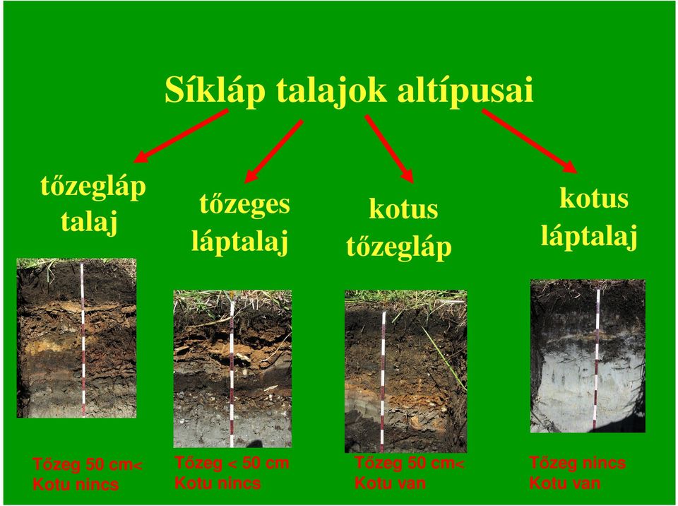 Tızeg < 50 cm Kotu nincs kotus tızegláp