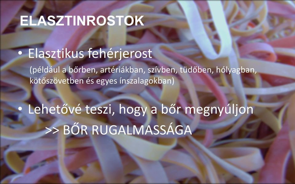 hólyagban, kötőszövetben és egyes ínszalagokban)