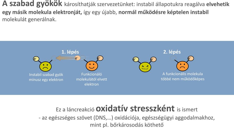 lépés e - e - e - e - e - e - Instabil szabad gyök mínusz egy elektron Funkcionáló molekulától elvett elektron A funkcionális