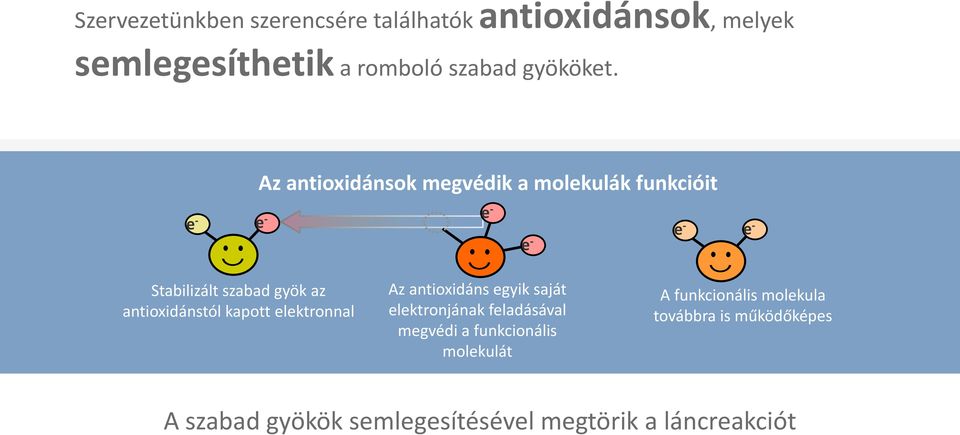 antioxidánstól kapott elektronnal Az antioxidáns egyik saját elektronjának feladásával megvédi a