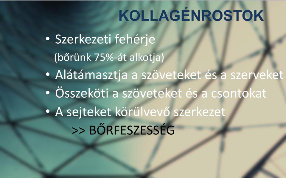 szerveket Összeköti a szöveteket és a