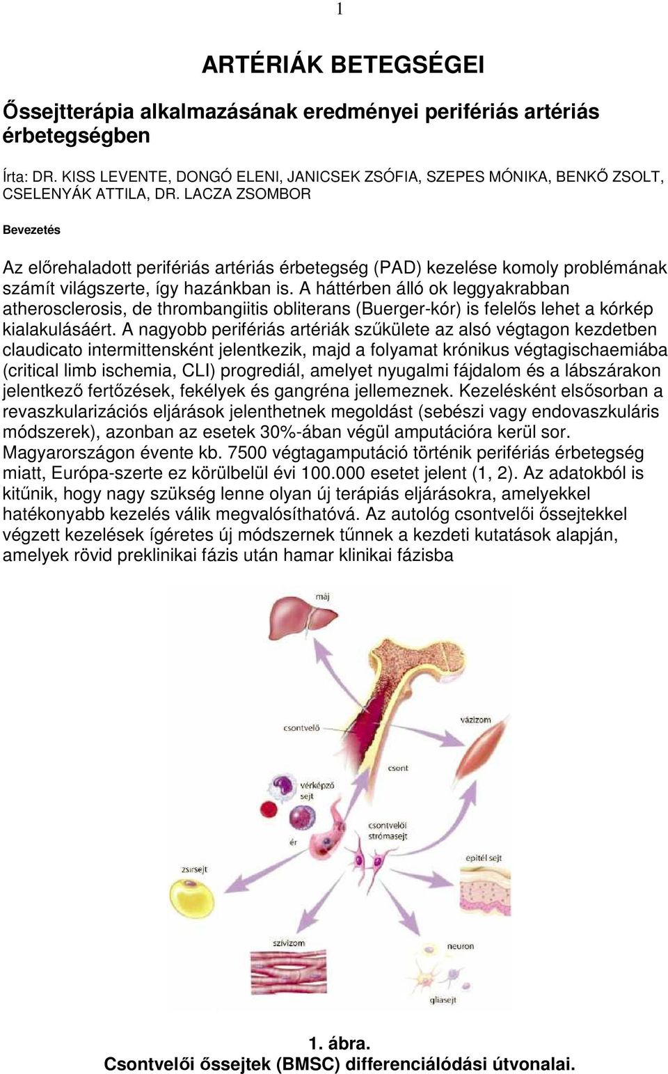 A háttérben álló ok leggyakrabban atherosclerosis, de thrombangiitis obliterans (Buerger-kór) is felelıs lehet a kórkép kialakulásáért.