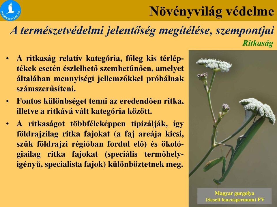 A ritkaságot többféleképpen tipizálják, így földrajzilag ritka fajokat (a faj areája kicsi, szűk földrajzi régióban fordul elő) és ökológiailag