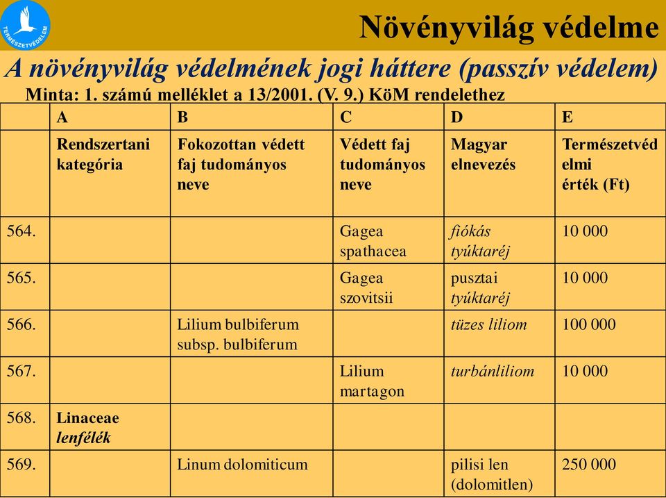 Gagea spathacea 565. Gagea szovitsii 566. Lilium bulbiferum subsp. bulbiferum 567. Lilium martagon 568.
