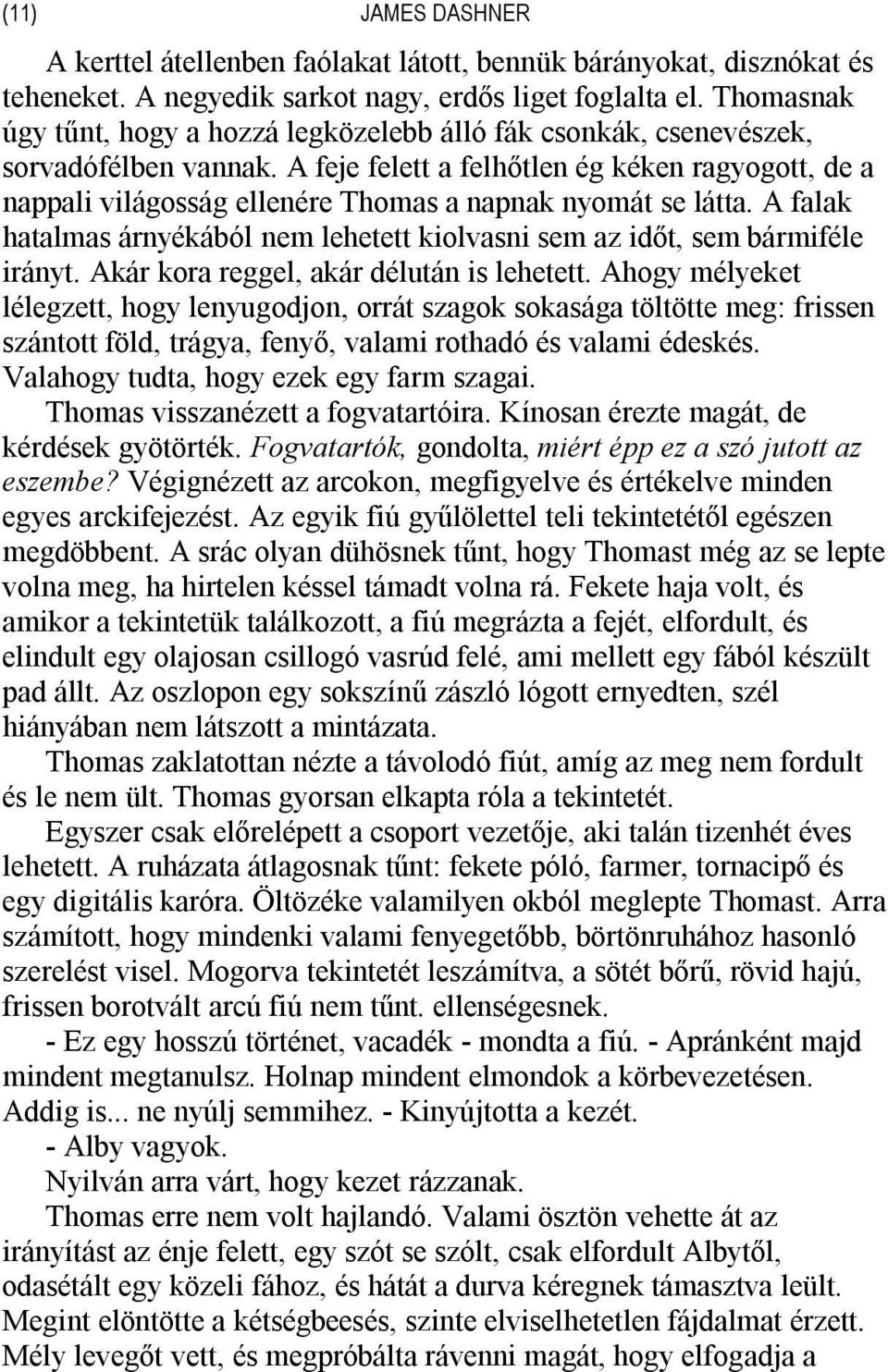 A feje felett a felhőtlen ég kéken ragyogott, de a nappali világosság ellenére Thomas a napnak nyomát se látta. A falak hatalmas árnyékából nem lehetett kiolvasni sem az időt, sem bármiféle irányt.