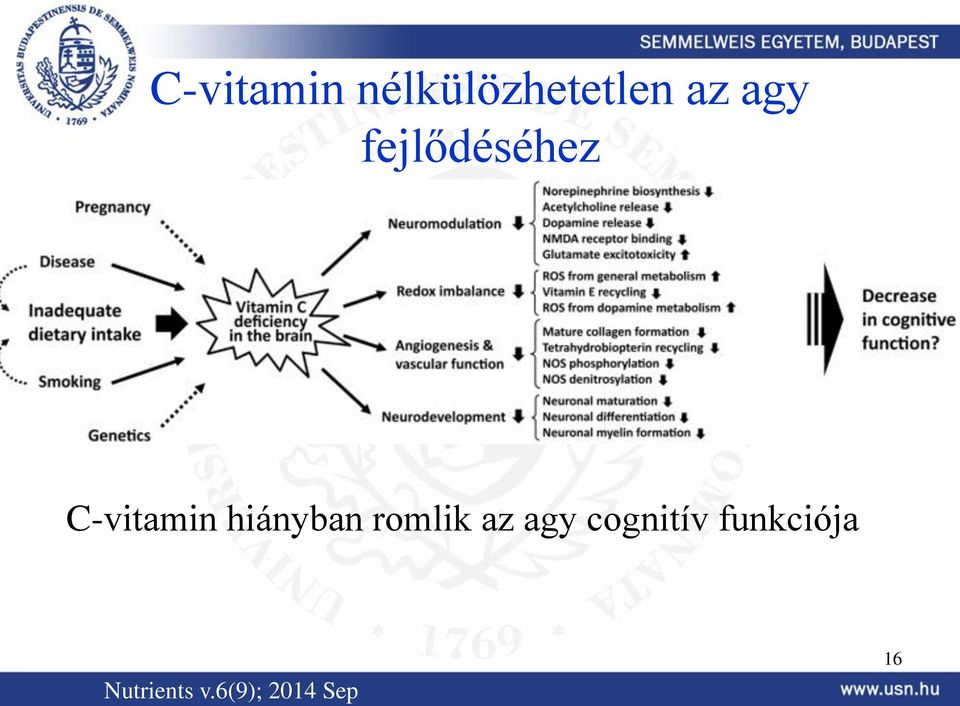 hiányban romlik az agy cognitív