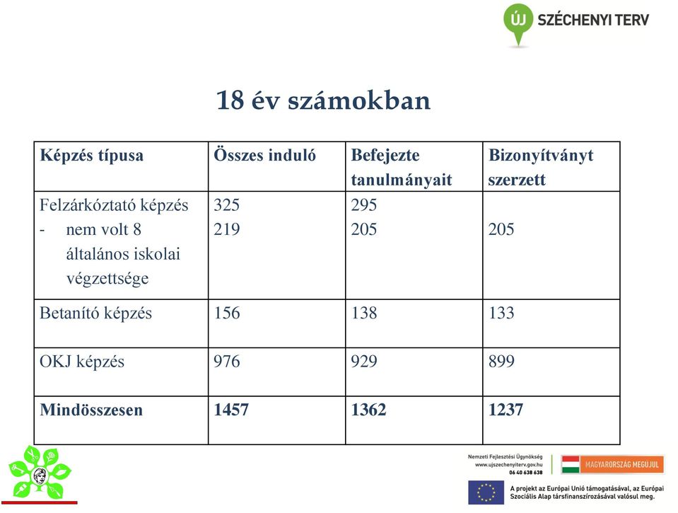 iskolai végzettsége 325 219 295 205 205 Betanító képzés 156