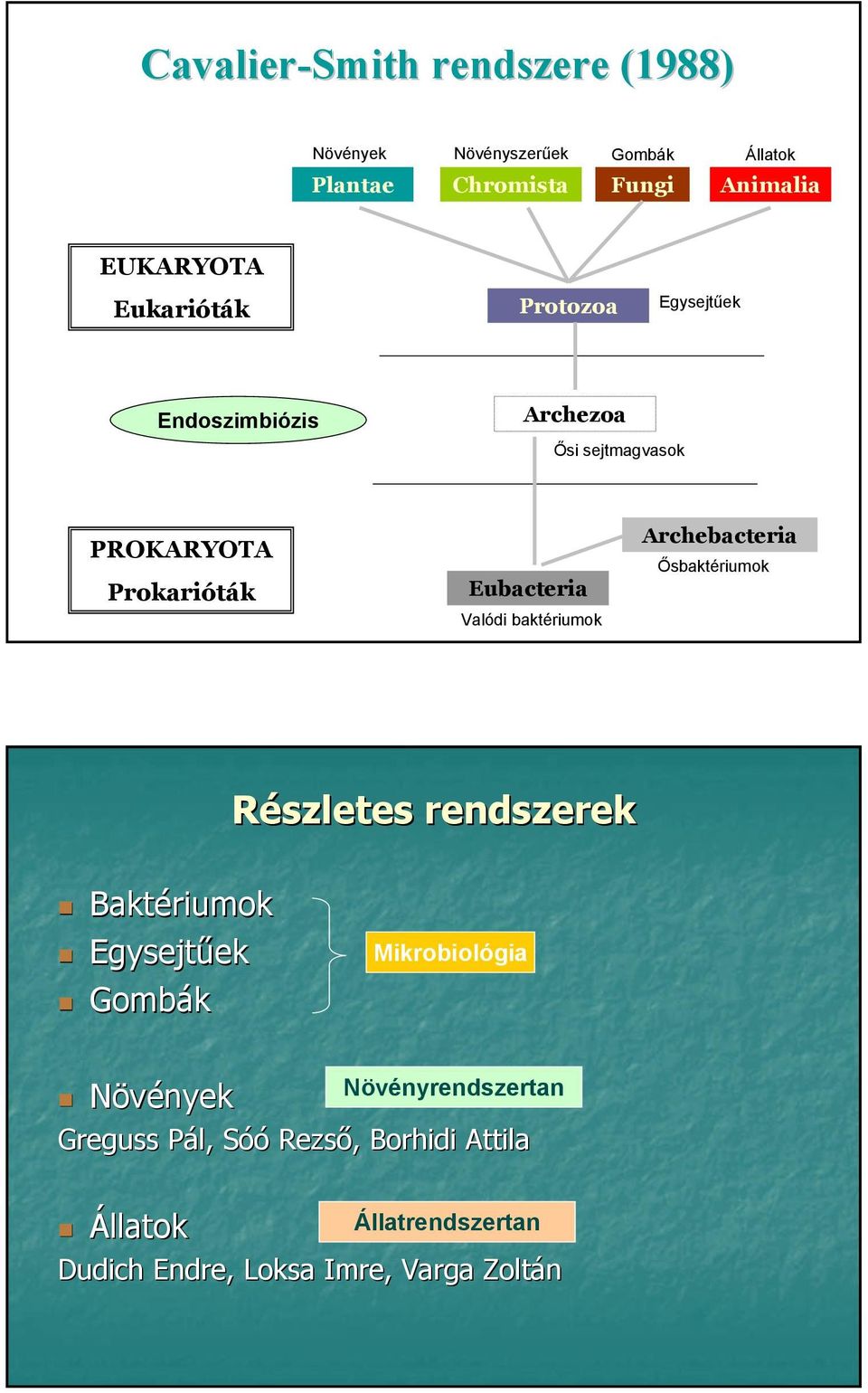 baktériumok Archebacteria Ősbaktériumok Részletes rendszerek Baktériumok Egysejtűek Gombák Mikrobiológia