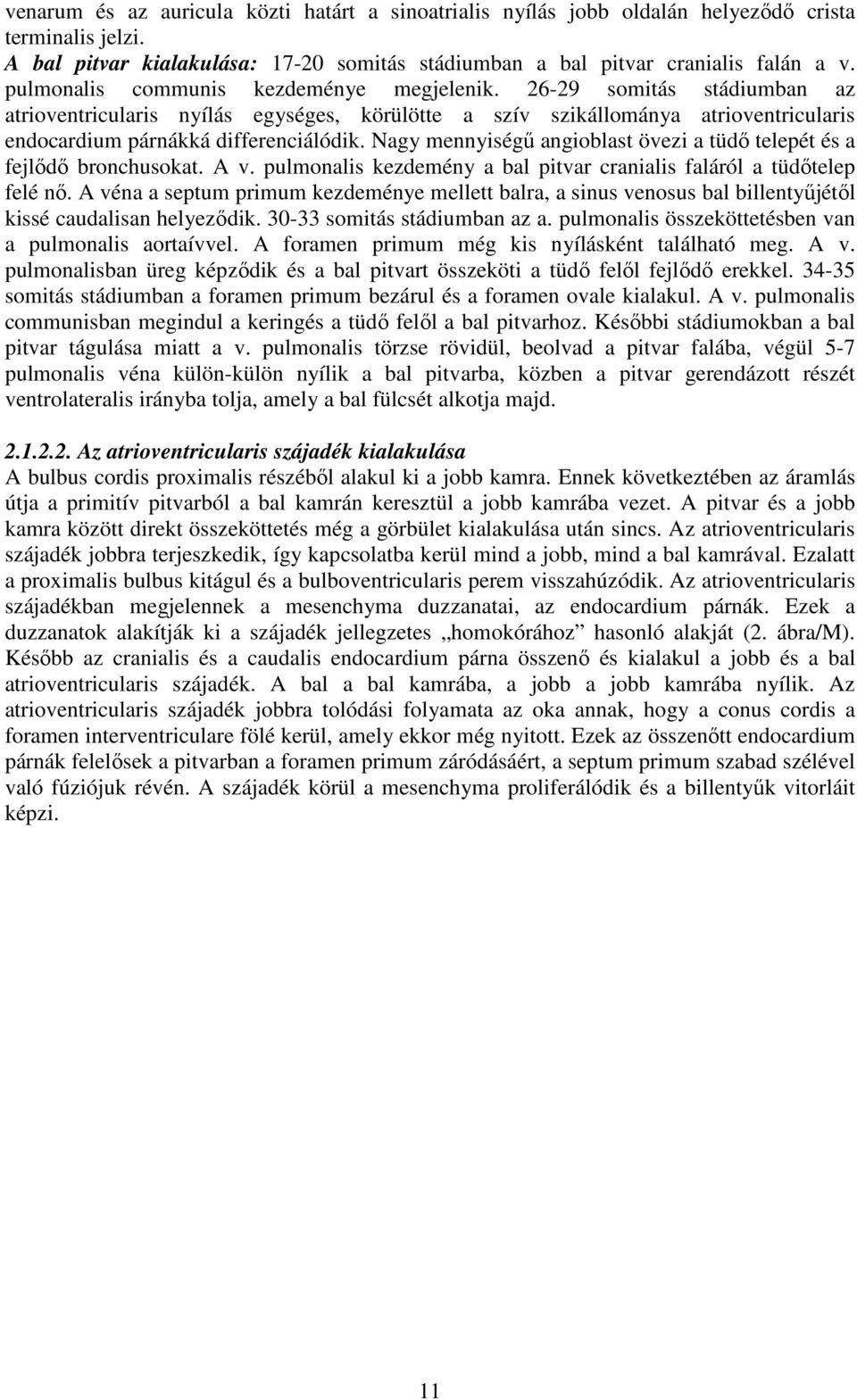 Nagy mennyiségű angioblast övezi a tüdő telepét és a fejlődő bronchusokat. A v. pulmonalis kezdemény a bal pitvar cranialis faláról a tüdőtelep felé nő.