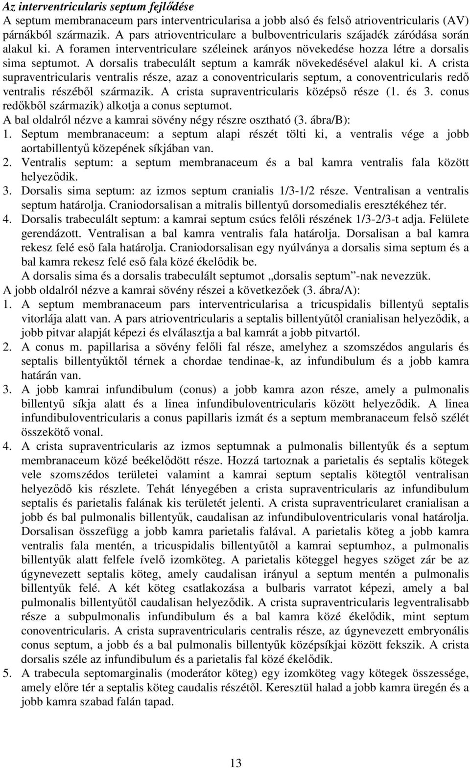 A dorsalis trabeculált septum a kamrák növekedésével alakul ki. A crista supraventricularis ventralis része, azaz a conoventricularis septum, a conoventricularis redő ventralis részéből származik.