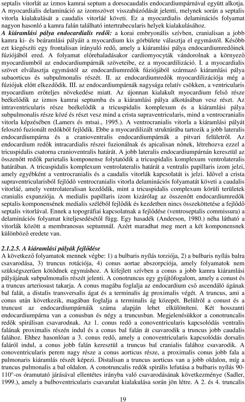Ez a myocardialis delaminációs folyamat nagyon hasonló a kamra falán található intertrabecularis helyek kialakulásához.