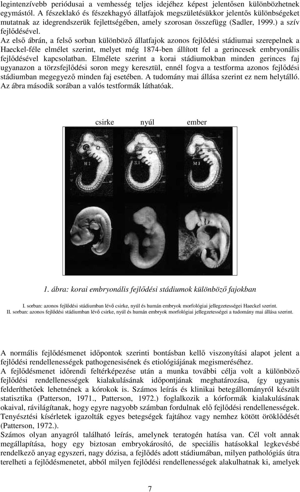 Az első ábrán, a felső sorban különböző állatfajok azonos fejlődési stádiumai szerepelnek a Haeckel-féle elmélet szerint, melyet még 1874-ben állított fel a gerincesek embryonális fejlődésével
