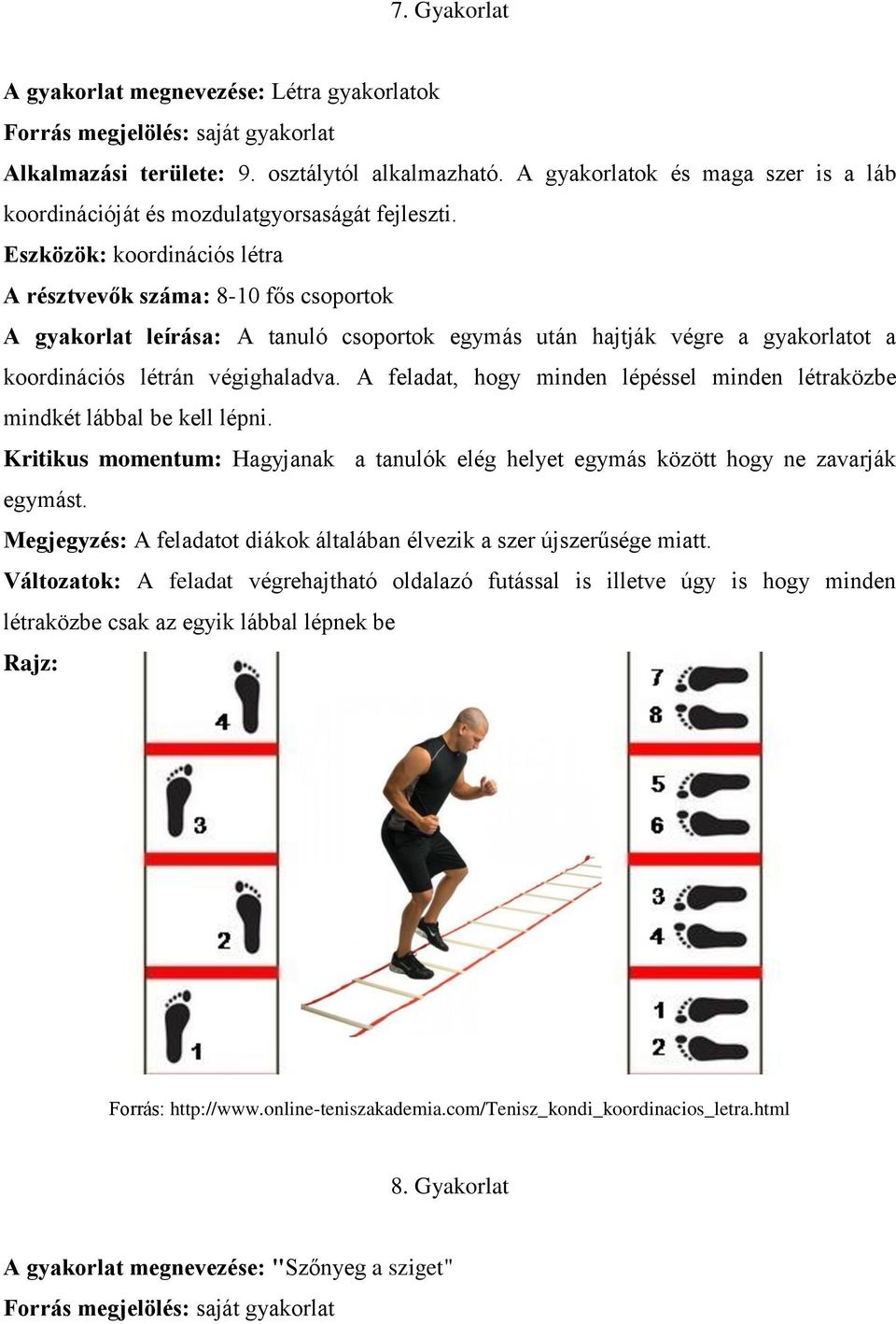 Eszközök: koordinációs létra A résztvevők száma: 8-10 fős csoportok A gyakorlat leírása: A tanuló csoportok egymás után hajtják végre a gyakorlatot a koordinációs létrán végighaladva.