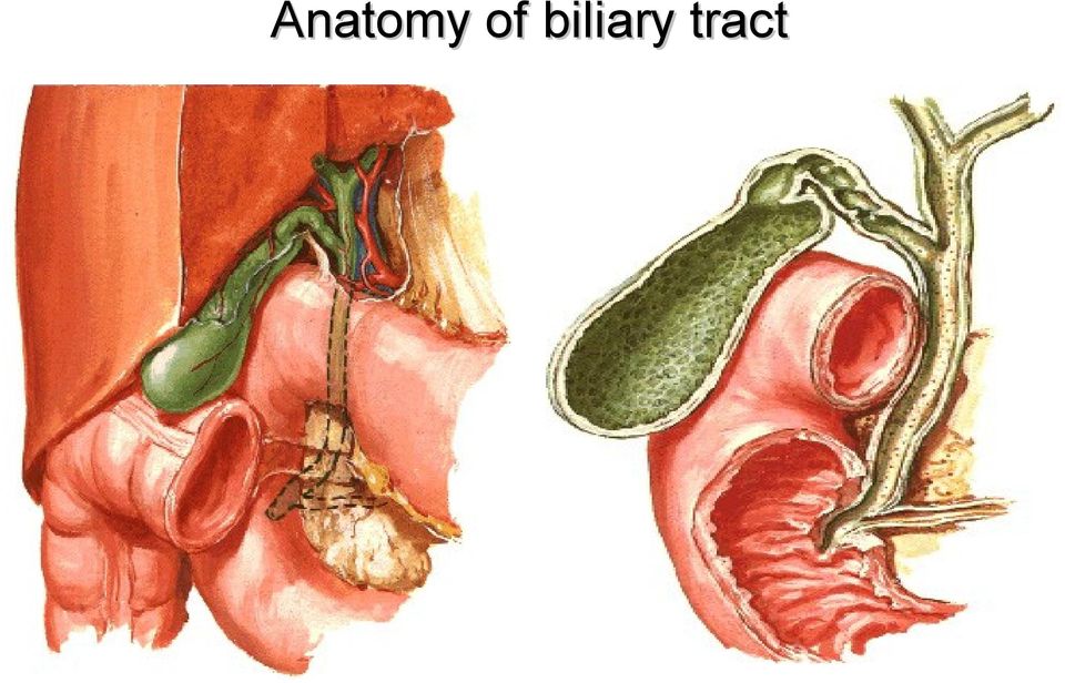 biliary